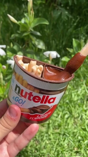 Deliciosas Receitas com Nutella: Sorvete, Brownies e mais!