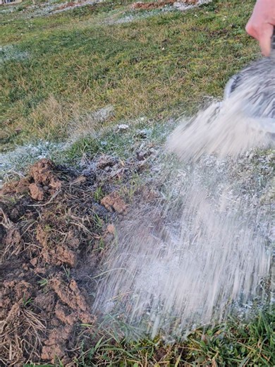 Understanding Soil Calcification in Orchards