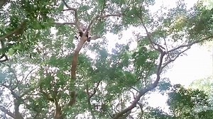 Jean Claude Van Damme! Amazing Training | De Escorpio Soy