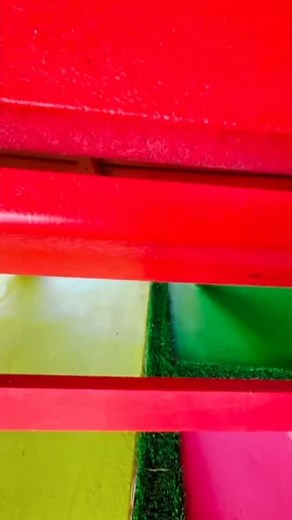 118K views · 4.4K reactions | Me debt gets crazier everyday :-/ | Tekashi 6ix9ine | Facebook