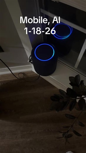 Alexa said no snow…. 🤨 ❄️ ⛄️ #alexa #snowday#251 #mobileal | alexa