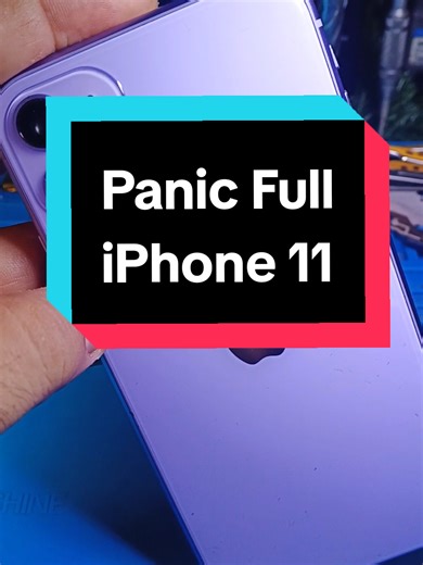 How to Fix Panic Full iPhone Issues