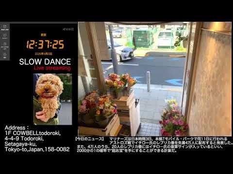 【Fri.04/03/2026 Livecamera at the florist】 スローダンス SLOWDANCE 等々力 尾山台 世田谷 Setagaya 東京 Tokyo 日本 Japan