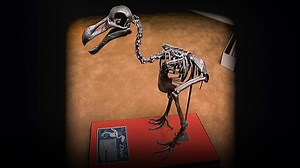 My obsession with objects and the stories they tell