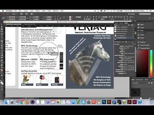 InDesign Placing Image and bounding box
