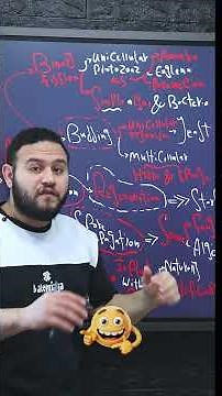 الخلاصه لاصه يونت 4 لاخواتنا في Prep. 3 🖤