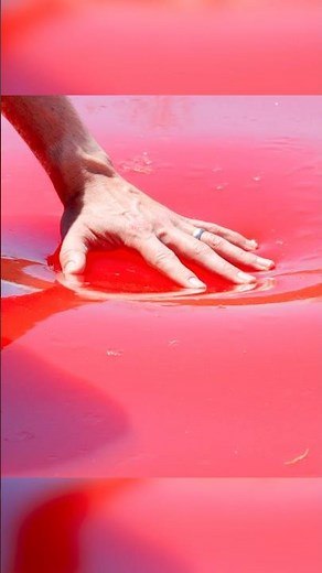 World’s Largest Jello Pool