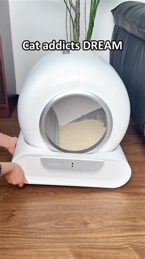 Discover the Benefits of Smart Litter Boxes for Cats
