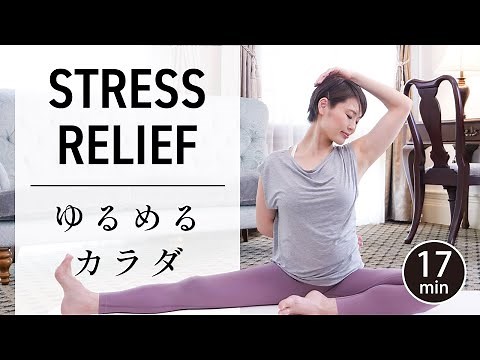 Full Body Stretch for Beginners - Flexibility & Stress Relief #501