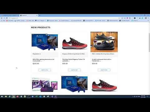 1. Introduction to the project