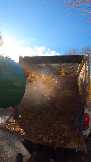the leaf shredder 😎 #fyp #leafcleanup #foryou #autumn #leaftiktok #satisfying #cool #sctuon #gopro #elmira #yardwork #billygoat