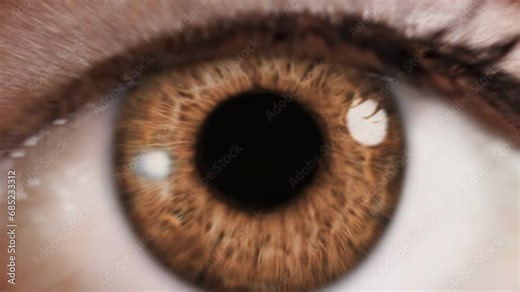 Zoom in to Beautiful Macro Shot of Brown Woman Eye Blinking. Pupil Opening Zooming to Back Frame. Healthy Eyesight concept. Make up.