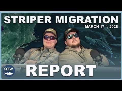 Striper Migration Report | March 17th, 2026