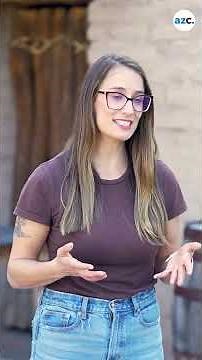 Republic reporter takes on Tucson history at Presidio San Agustín del Tucson