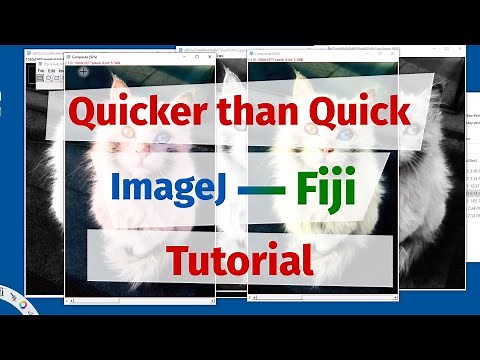 ImageJ - Fiji. Quick Tutorial
