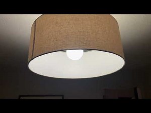 Dimmable Large LED Globe Bulb Review