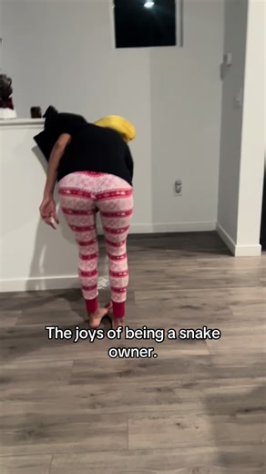 🥺😭 It’s only been about 3 years since he last escaped. #whereskyle #ballpython #reptilesoftiktok #snakesoftiktok