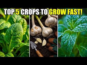 Top 5 crops to plant right now for a massive spring harvest