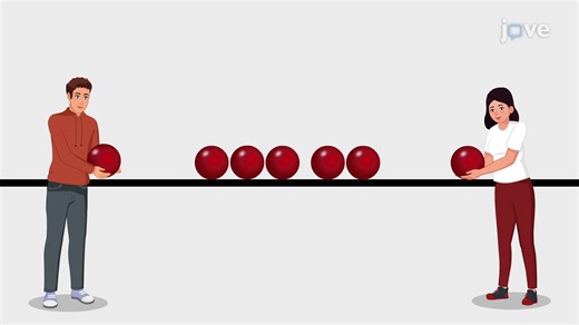 ビデオ: ゲシュタルトの知覚の原理