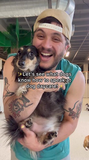 Funny Dogs Talking at Dog Daycare | Dog Language and Noises