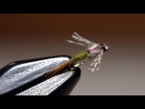 Barr's Emerger BWO