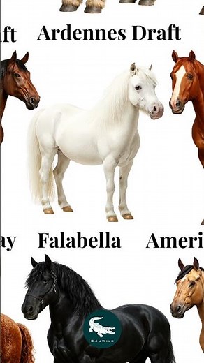 🐎 Which Horse Breed Would You Choose? 👀👇 | From Gentle Giants to Legendary Legends!