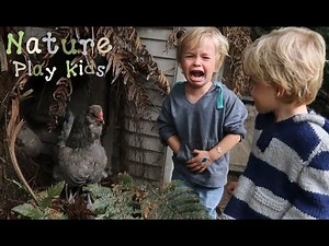 Angry chicken attacks little Kid