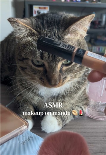 ASMR Makeup Application on Mandu: A Silly Experience