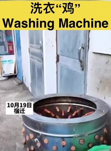 Washing Machine Full of Sausages: A Hilarious Moment