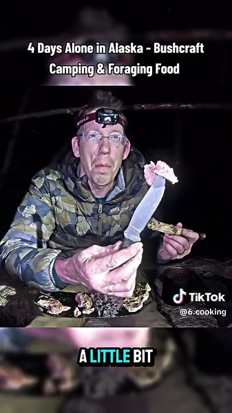 4 Days Alone in Alaska - Bushcraft Camping & Foraging Food #outdoor #outdoors #outdoorcooking #camp #camping #cook #cooking #survive #survival #alaska #bushcraft