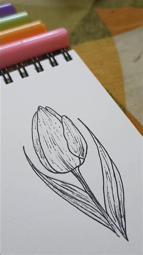 Tulip വരയ്ക്കാൻ പഠിക്കാം 🌷 #shorts #drawingtutorial #tulipdrawing
