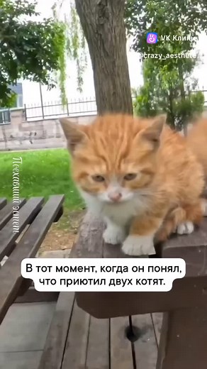 GruВИДЕО on Instagram: "#gru_video"