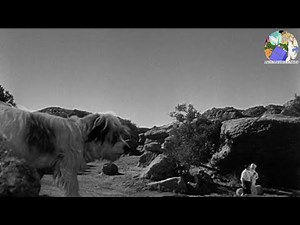 Corporal Becomes GIGANTIC at End of 30 Foot Bride of Candy Rock | [Blink Moment]