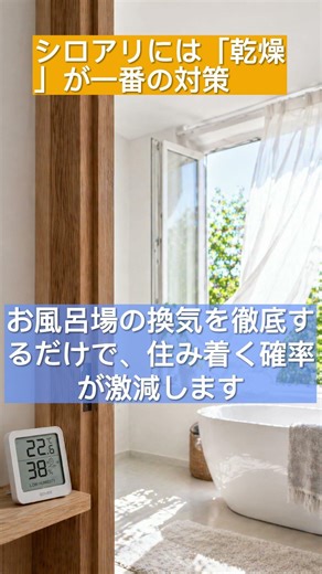 シロアリ・ハチ・クモ…家を守る「最強の防虫術」まとめ🏠🚫