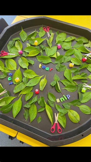 Motor skills tuff tray 🍃 #eyfs #teacher #teachersoftiktok #teacherlife #school #fyp #school #primaryschool #kids #explore #kidsoftiktok #leaves #nature #outdoors #cut #diy #fun #creative #earlyyears #schoollife #caterpillar #eyfs #earlyyears