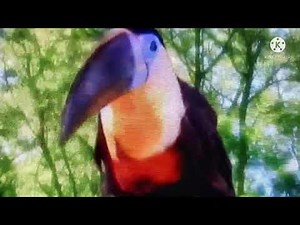 Toucan Song In The Night Garden Part 2 (KineMaster)
