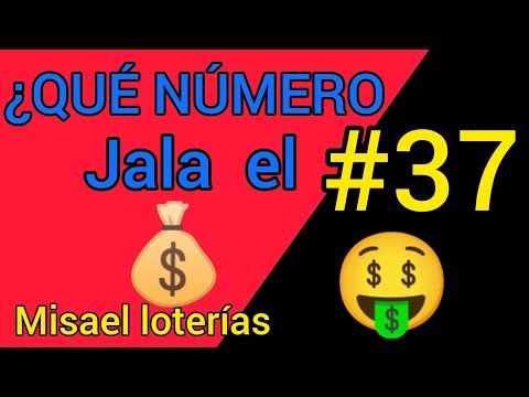 What number does 37 pull? 🔥 | What number to play when 37 comes up, numerology, national lottery