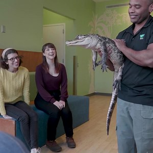 1.9K views | Keeper’s Choice | Bronx Zoo | Facebook