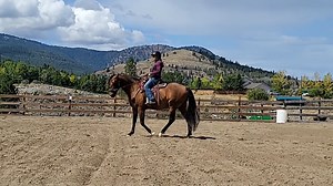 First Steps to Starting Your Horse