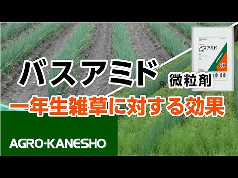 バスアミド微粒剤～一年生雑草に対する効果～