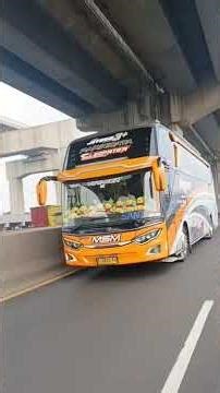 bus Cleopatra mem#basuri # jeger