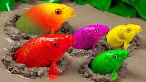 61K views · 1.4K reactions | Stop Motion ASMR - Koi Fish Hunting Pink Catfish | Colorful Koi Fish | Primitive Cooking Experiment Colorful Golden Koi Fish Catch Cute Satisfaction Frog | FUN Experiment #fish #fishing #fishtrap #stopmotion #animation #experiment #cocinaprimitiva #funnystopmotion ------ Full video: https://www.youtube.com/watch?v=gDtyFoqUa0g | Cocina Primitiva | Facebook