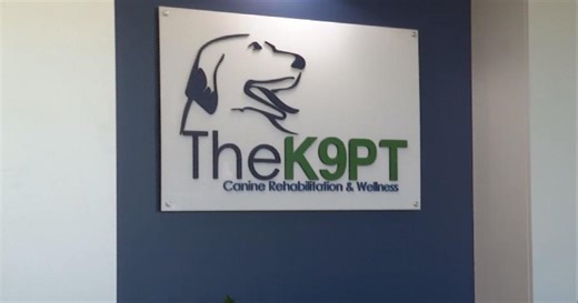 Canine physical therapy clinic offering relief to ailing pets