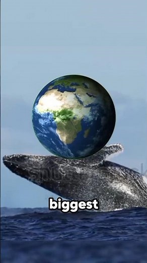 Biggest Land animals on Earth (ranked by size!)🌏
