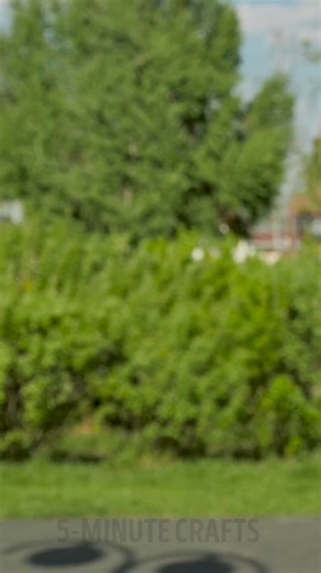 16K views · 26 reactions | Glow Naturally: Easy Homemade Beauty Recipes | 5-Minute Crafts GIRLY | Facebook