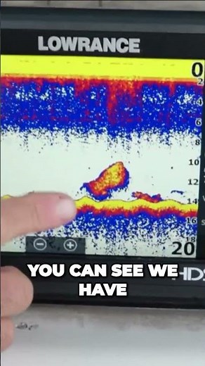 Bait or Predator? How To Read A Fish Finder | BoatUS #boatus #ishing #fishfinder