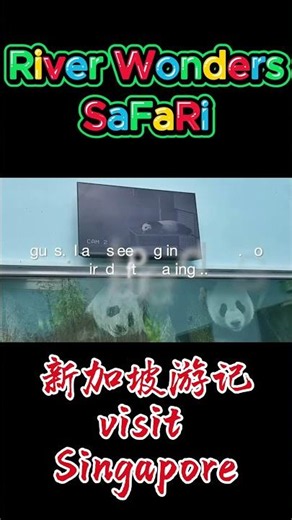 River Wonders Singapore 10- Great Safari - Where is Jia | The Search for a Lost Panda #riverwonders