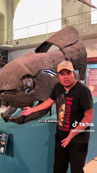 Conociendo al dunkleosteus #aprendeentiktok | dunkleosteus