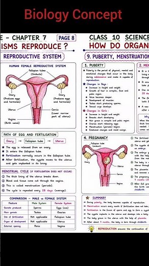 How Do Organisms Reproduce Full Concept With Diagram I Class 10 Science New Session Ujjwalstudynotes