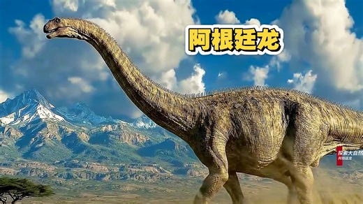 它的腿每天都因为自己的体重而骨折，却仍然生龙活虎，简直违背自然学#